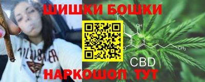 молекула духа Пугачёв