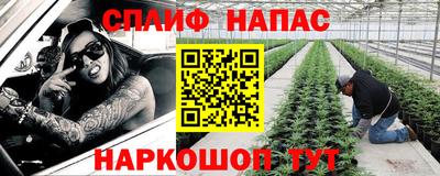 молекула духа Пугачёв