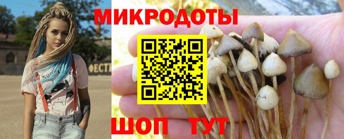 Псилоцибиновые грибы Magic Shrooms Сосновоборск