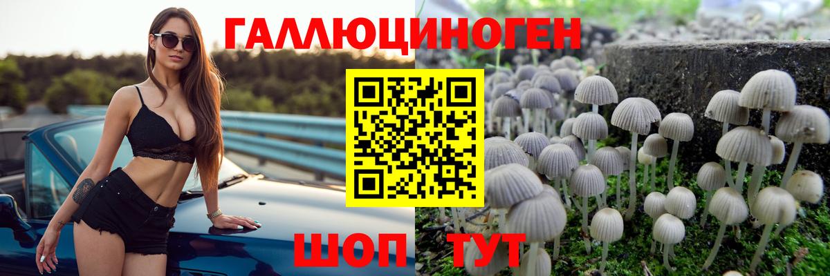 Псилоцибиновые грибы MAGIC MUSHROOMS  Псилоцибиновые грибы мухоморы  Вход с VPN  где продают   Сосновоборск 